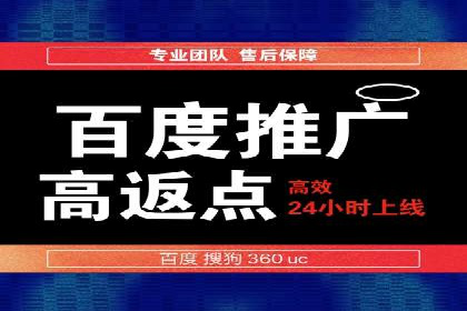 竞价推广代运营：成功案例解析